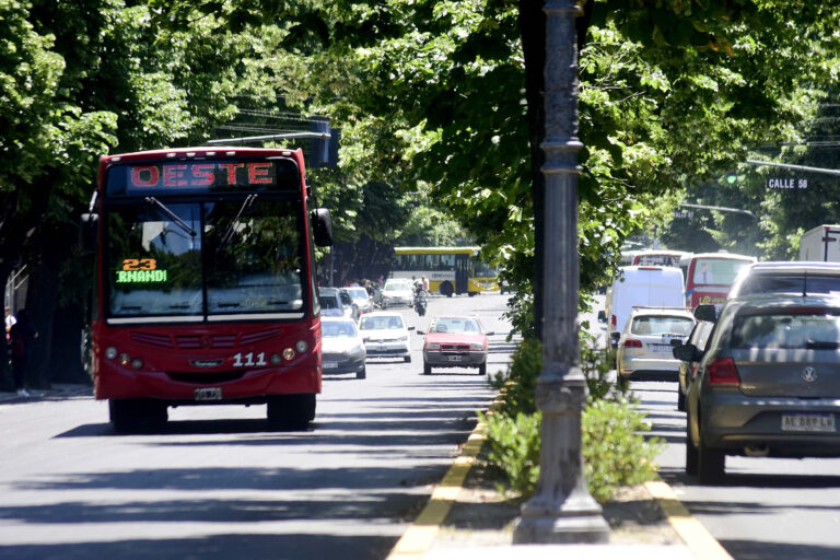 El domingo 19 el transporte público funcionará sera gratuito