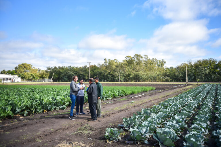 Encuentro con productores, nuevas led y visita a comerciantes