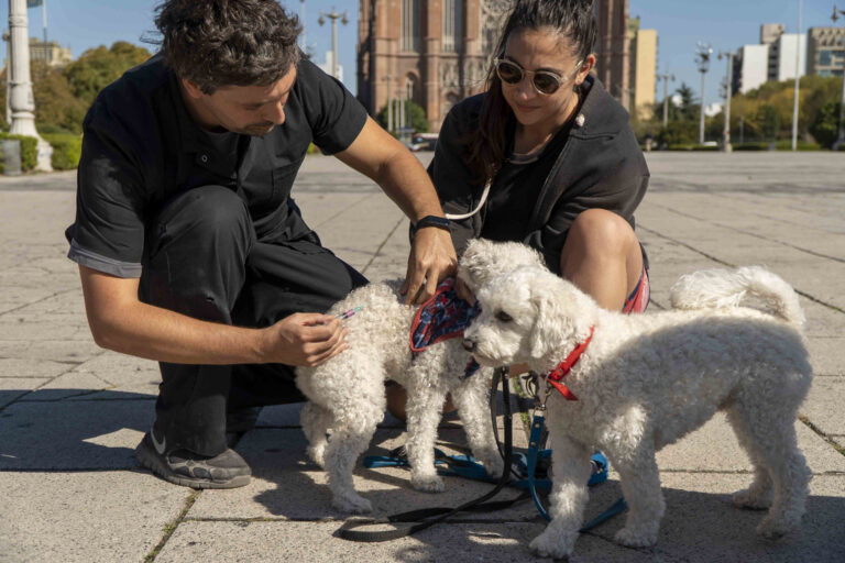 Nuevo calendario de vacunación veterinaria en barrios platenses