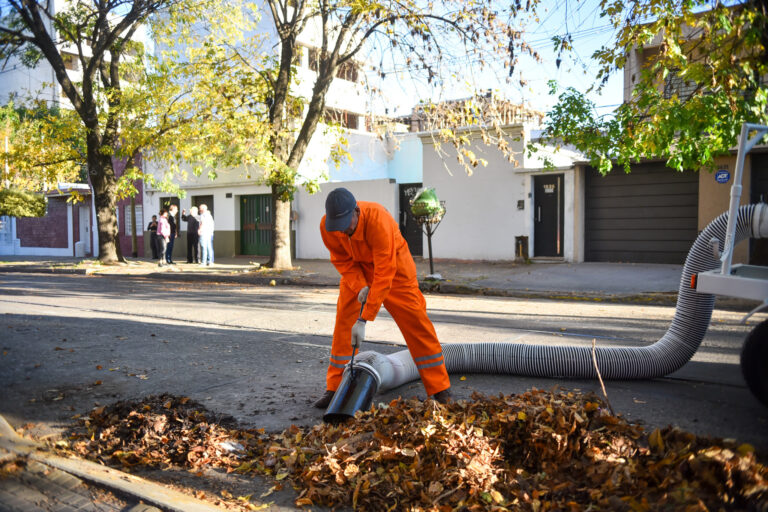 Nuevos equipos del Municipio para reforzar la limpieza de hojarasca