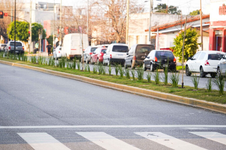 Ya  plantamos más de 10 mil ejemplares en lo que va del año