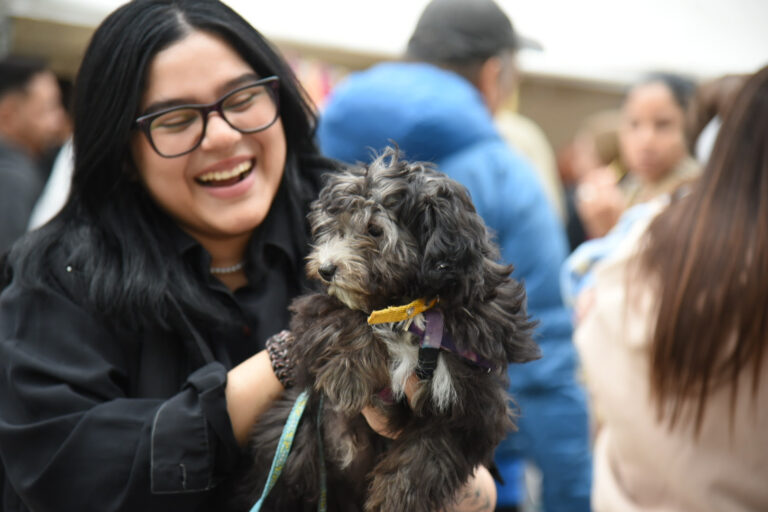 El veterinario municipal desembarca en más localidades platenses