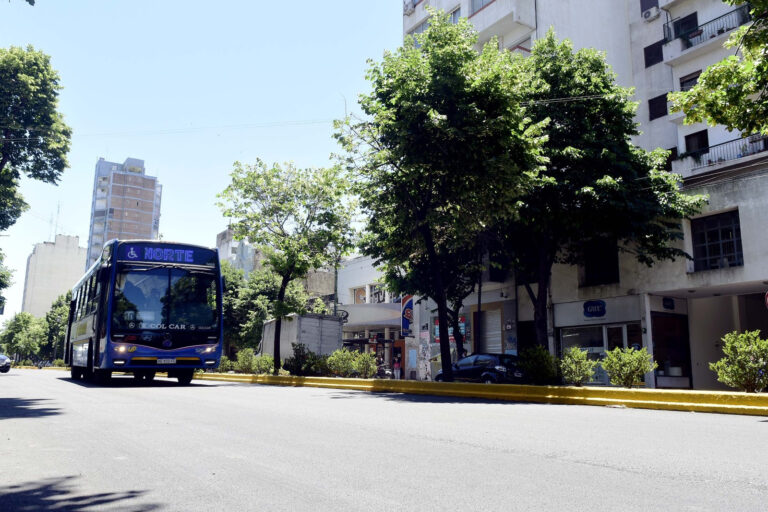 La Municipalidad dispuso que el próximo domingo 13 de agosto…