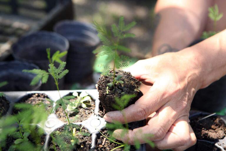 Bioconstrucción y más propuestas llegan al Parque Ecológico