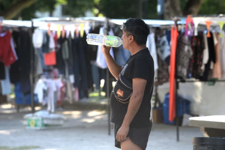 Ola de calor en La Plata: el SMN lanzó un alerta amarillo para la región