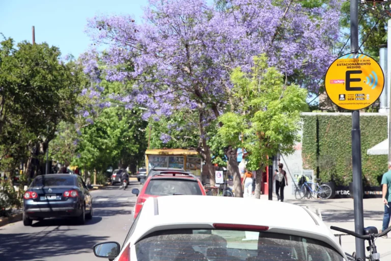 Reducen el horario del Estacionamiento Medido en La Plata durante enero