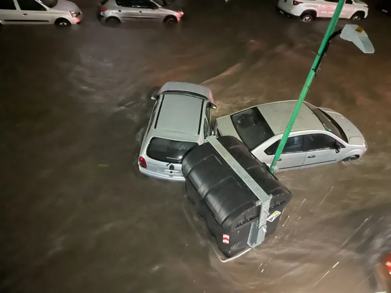 Granizo, inundaciones y destrozos: así afectó el temporal a La Plata y otras localidades