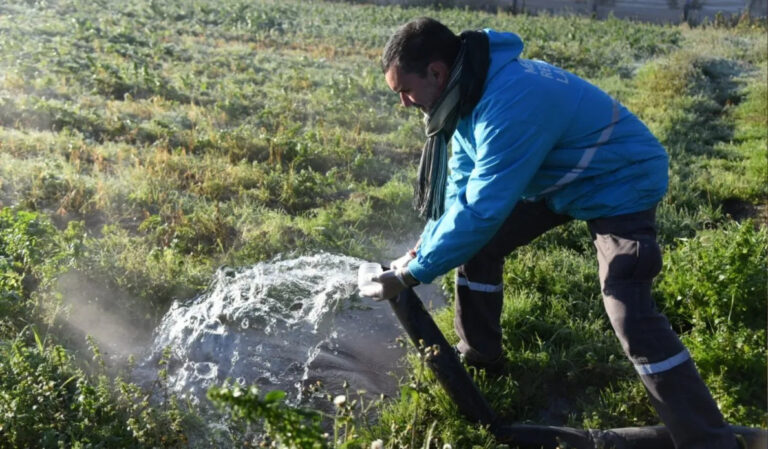 Controles en quintas para asegurar la calidad de los productos platenses al usuario