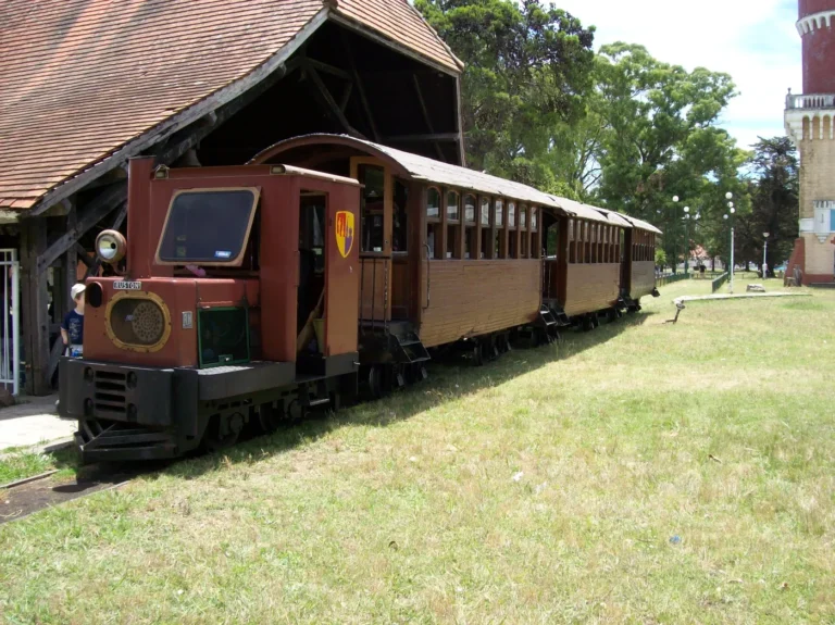 Piden informes por tren descarrillado en la República de los Niños