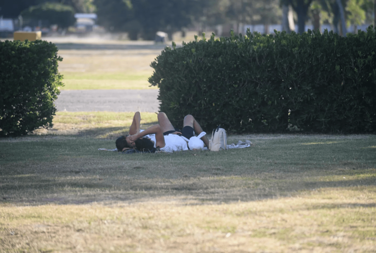 Se va la última mañana otoñal de la semana en La Plata y vuelve el calor del verano